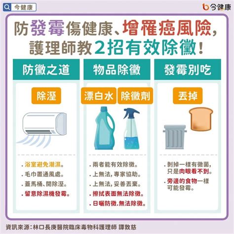 塑膠會發霉嗎|家中物品發霉，千萬別用紙巾擦拭！譚敦慈曝2招有效。